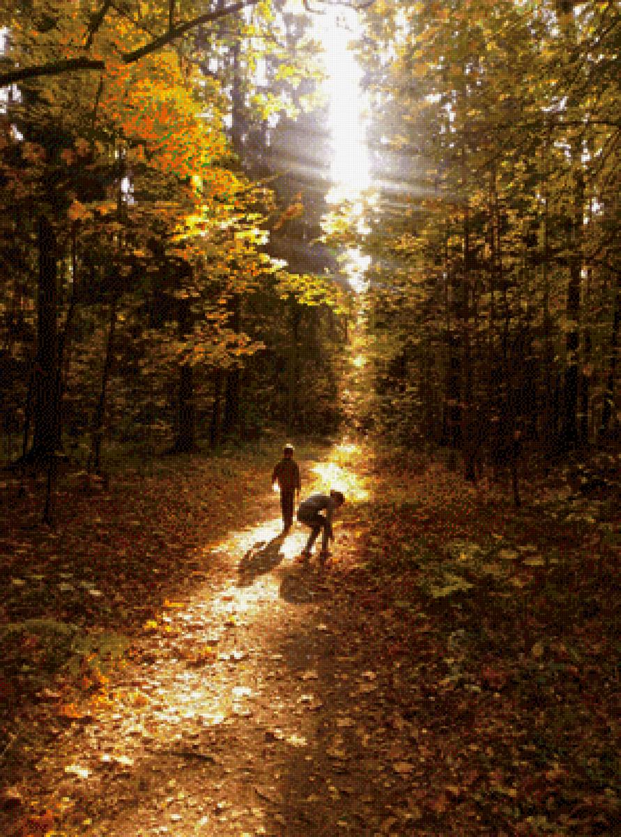 У природы нет плохой погоды 2 - природа, лес, осень, погода - предпросмотр