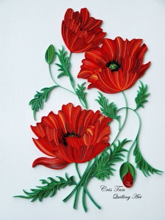 маки - маки, цветы - оригинал