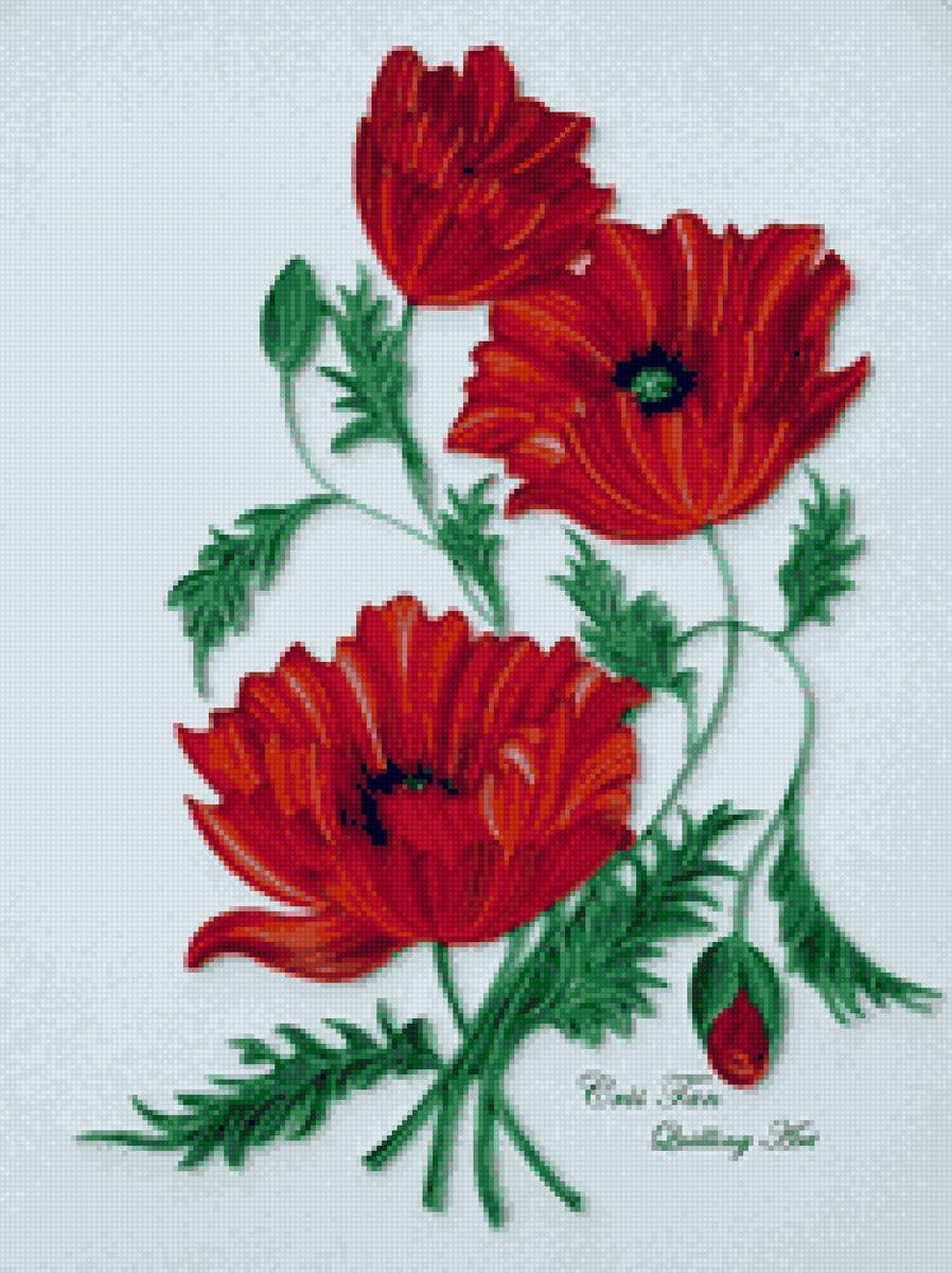 маки - маки, цветы - предпросмотр