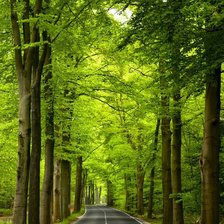 Схема вышивки «№2213712»