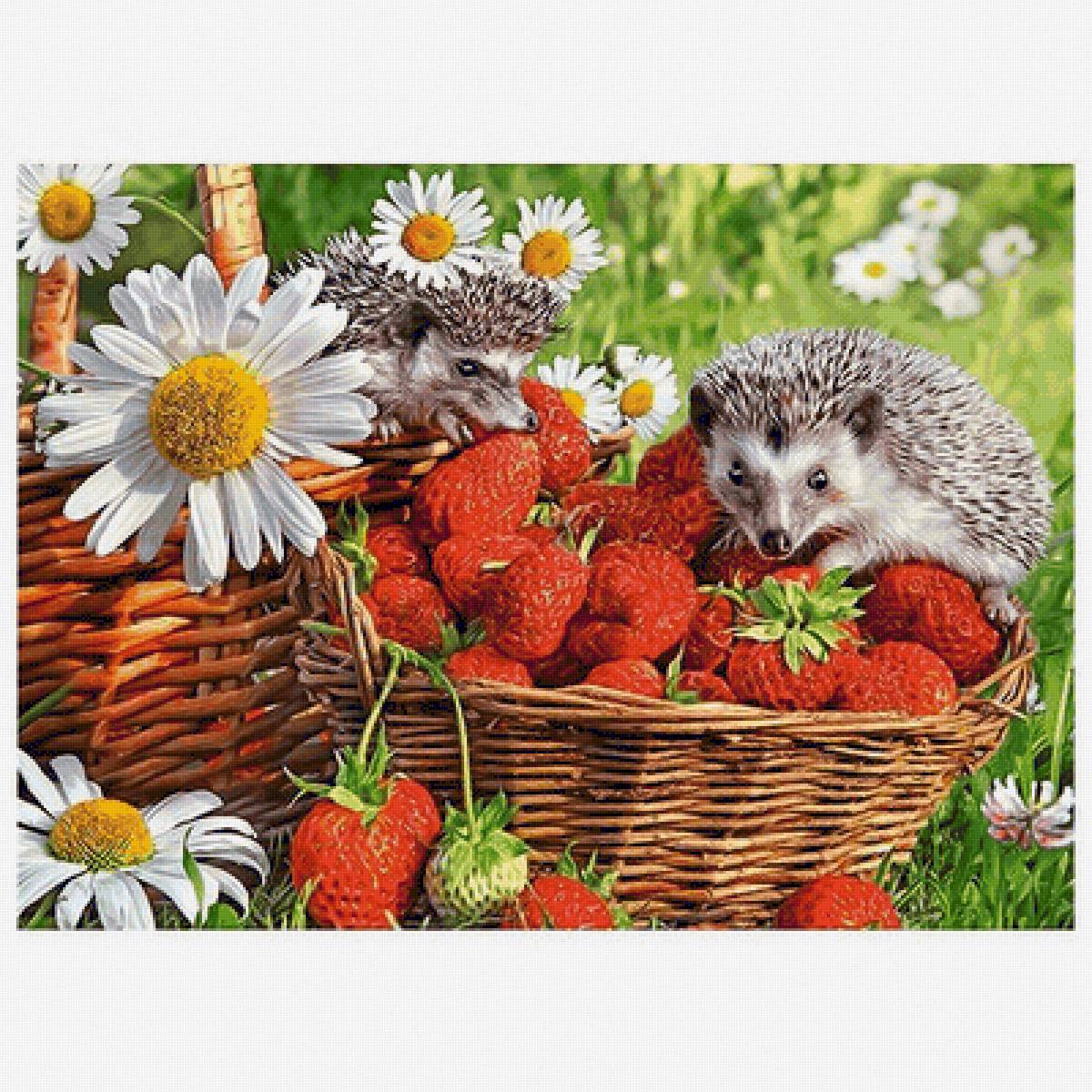 Серия "Ежики" - ромашки, цветы, животные, клубника, природа, ежики - предпросмотр