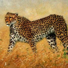 Схема вышивки «Гепард»