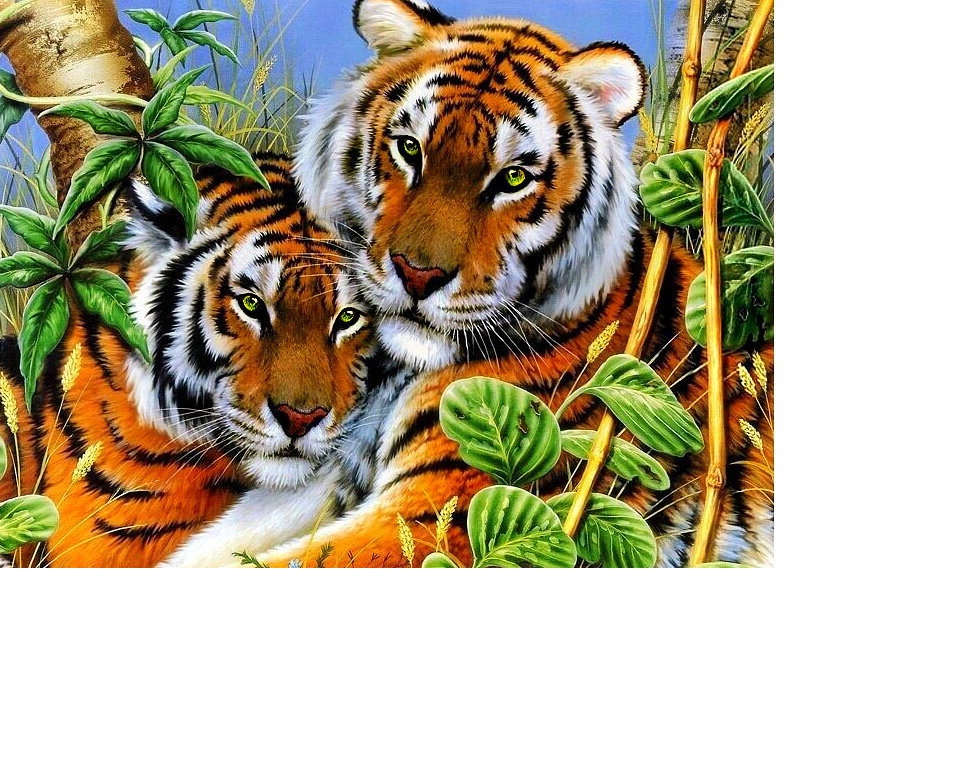 два тигра - тигры., животные, рисунок - оригинал