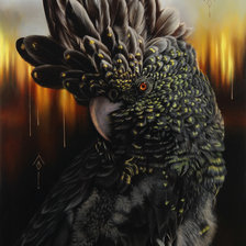 Схема вышивки «Попугай»