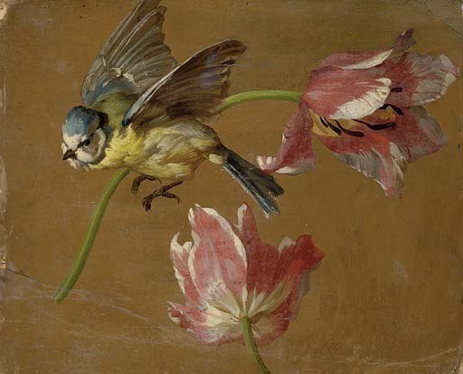 Натюрморт с птицей - натюрморт, цветок, птица - оригинал