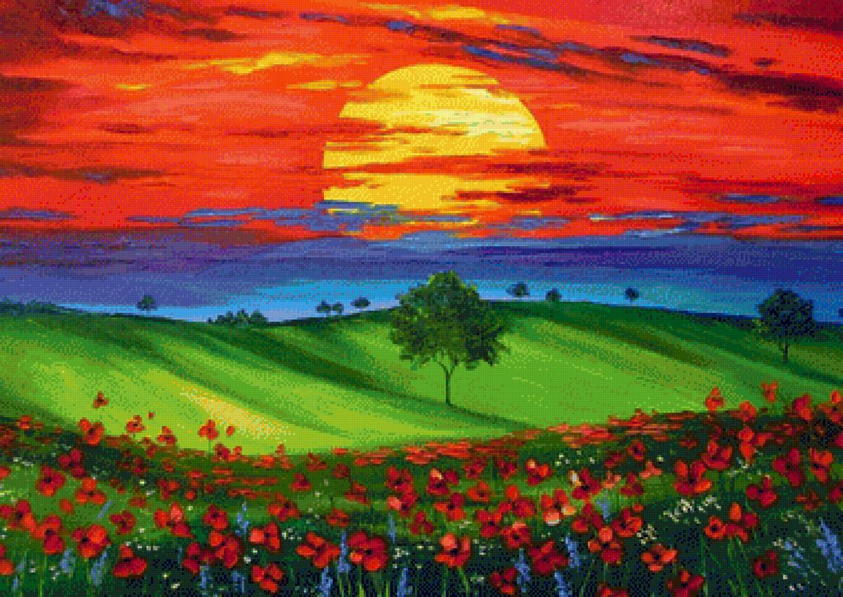 CAMPO FLORIDO - предпросмотр