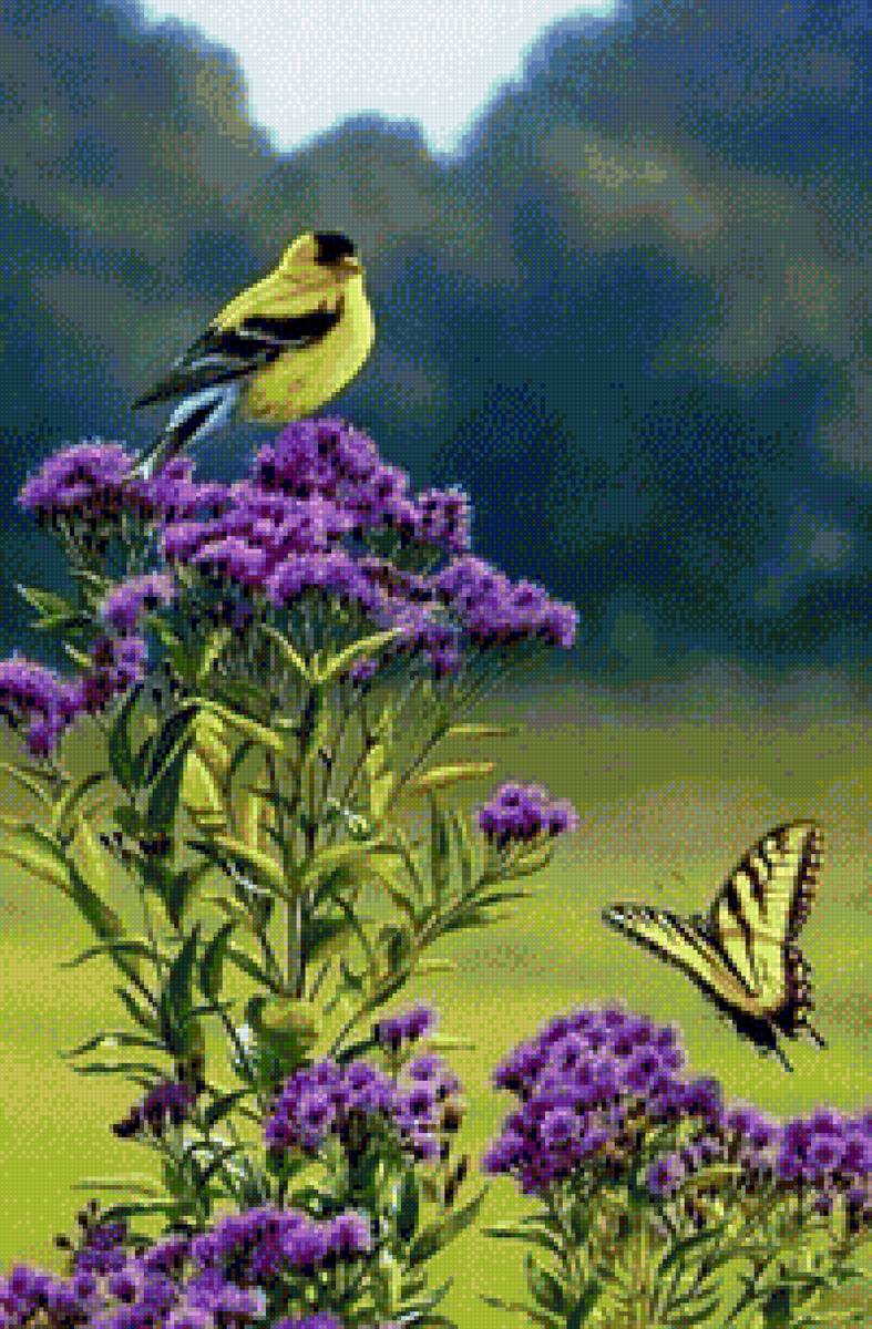 Bird and butterfly - предпросмотр