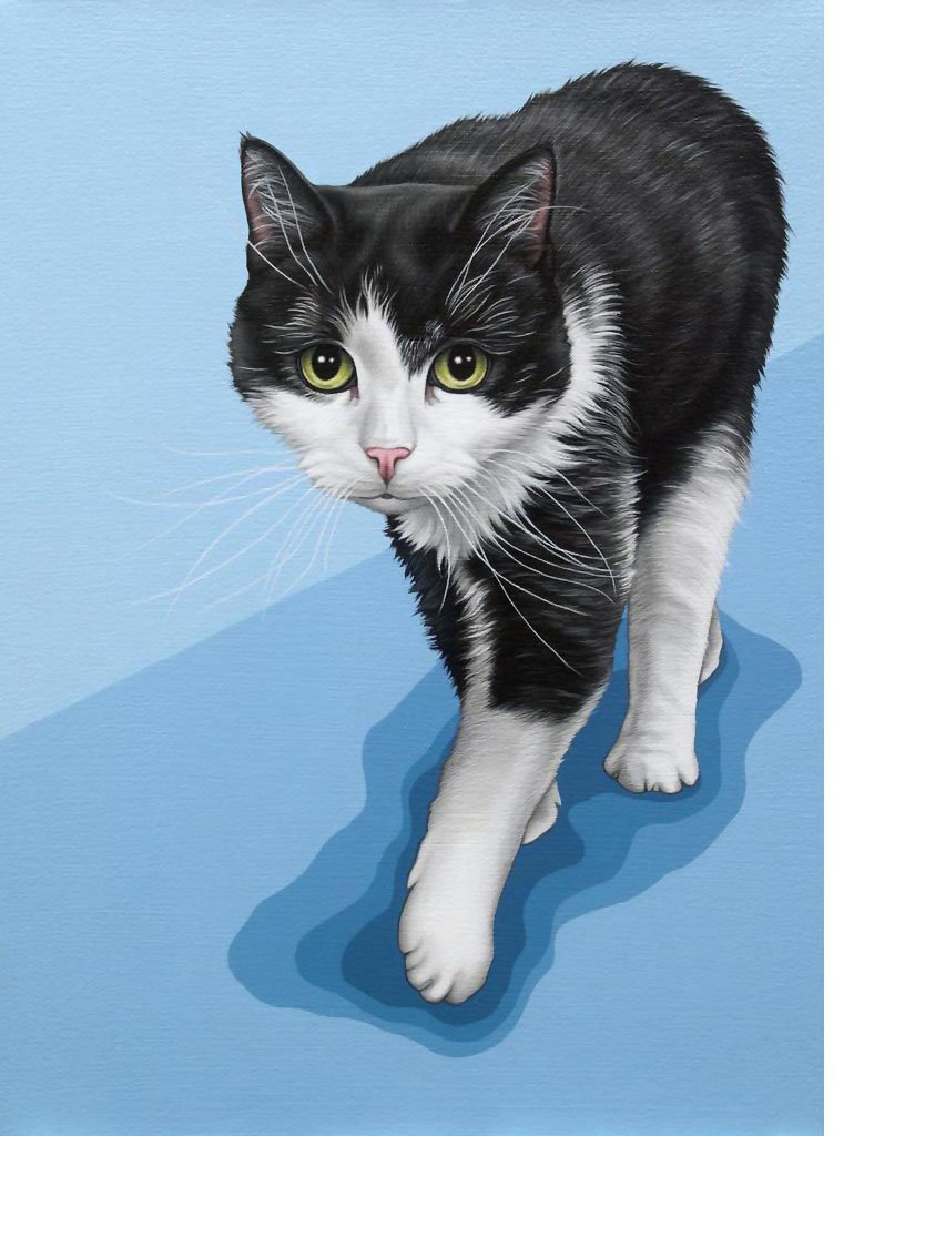 №2215674 - животные, коты - оригинал