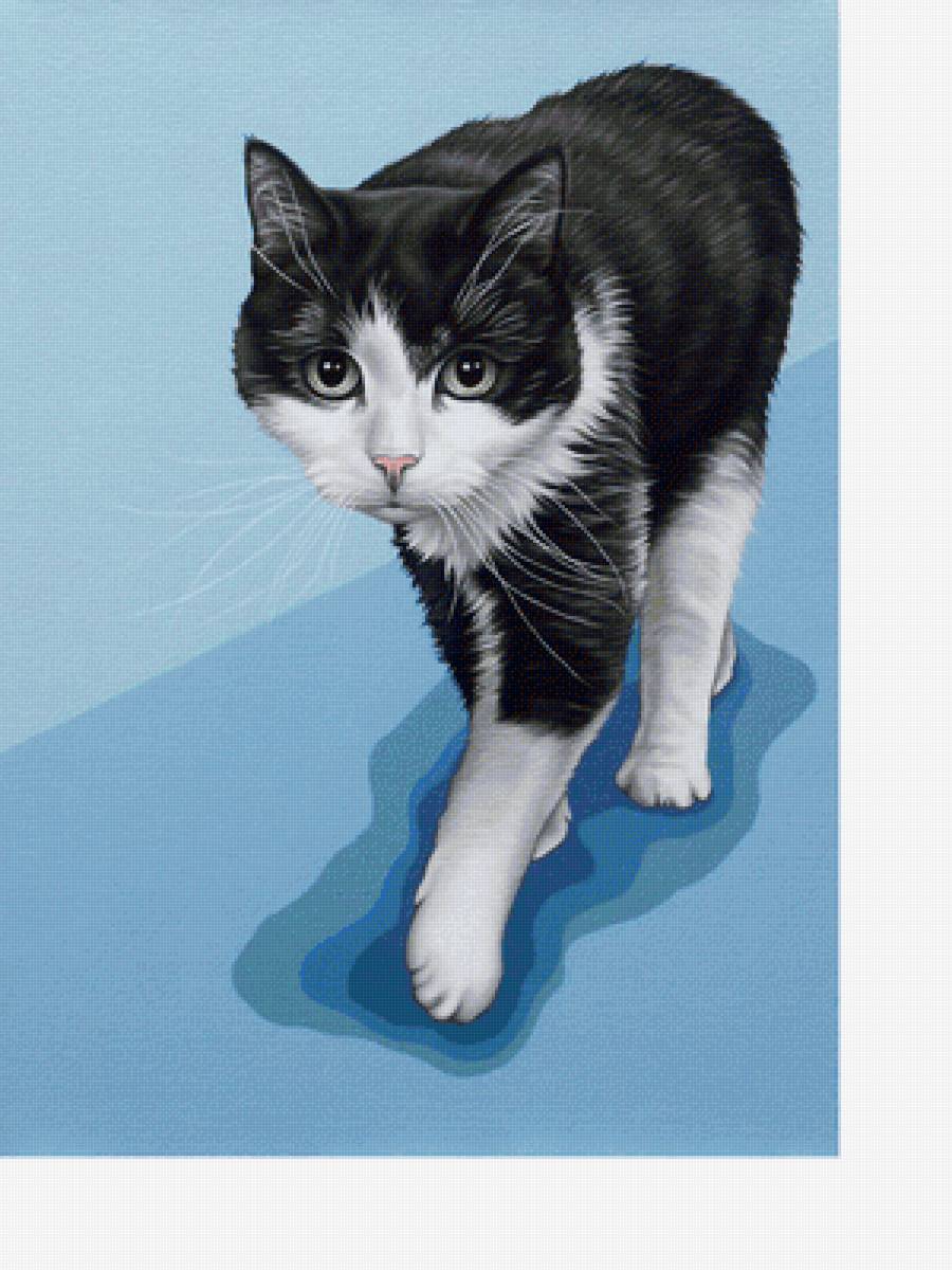 №2215674 - коты, животные - предпросмотр