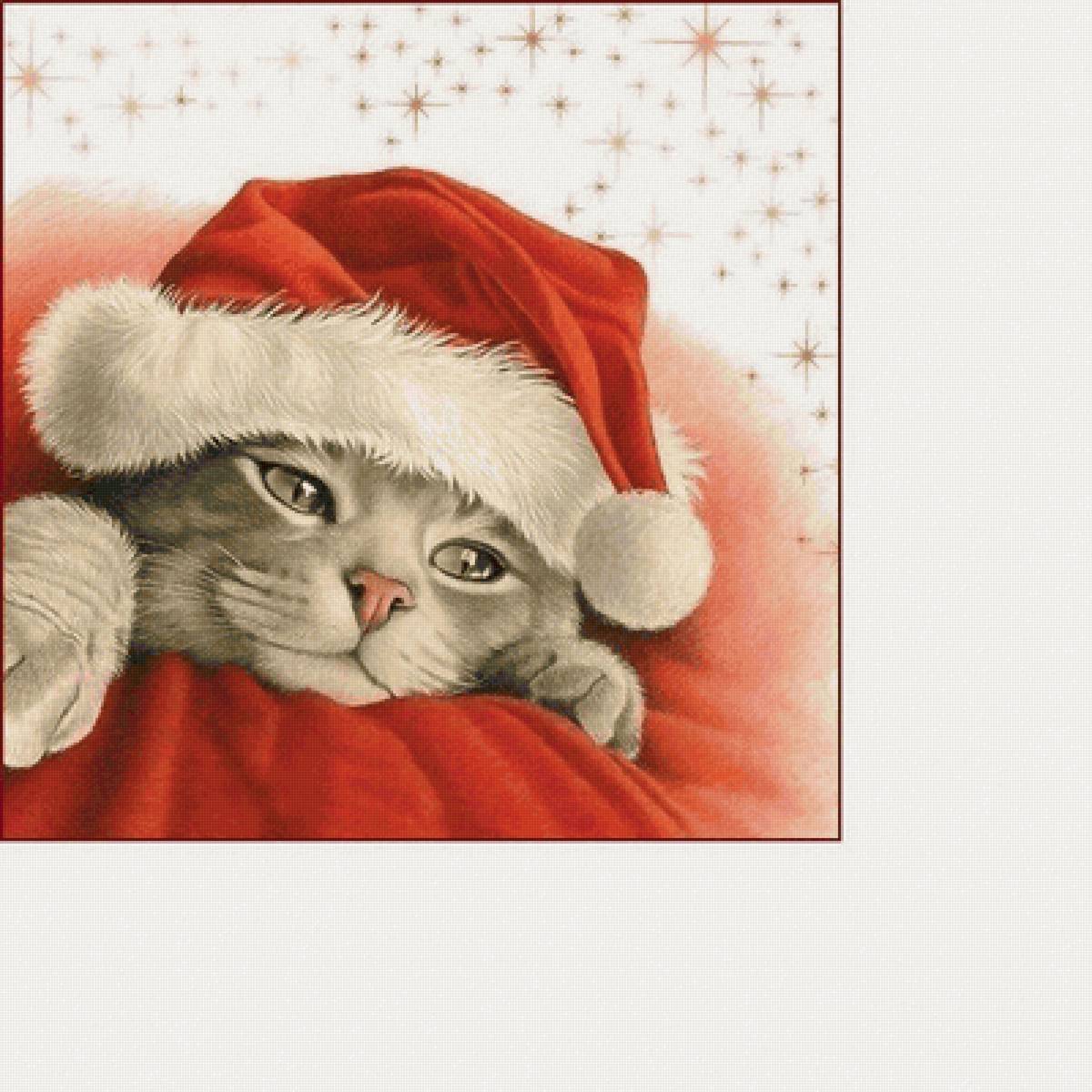 №2215677 - коты, животные - предпросмотр