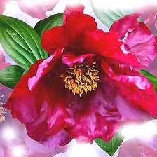 Схема вышивки «Пион»