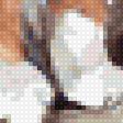 Предпросмотр схемы вышивки «Котики в окне» (№2215824)