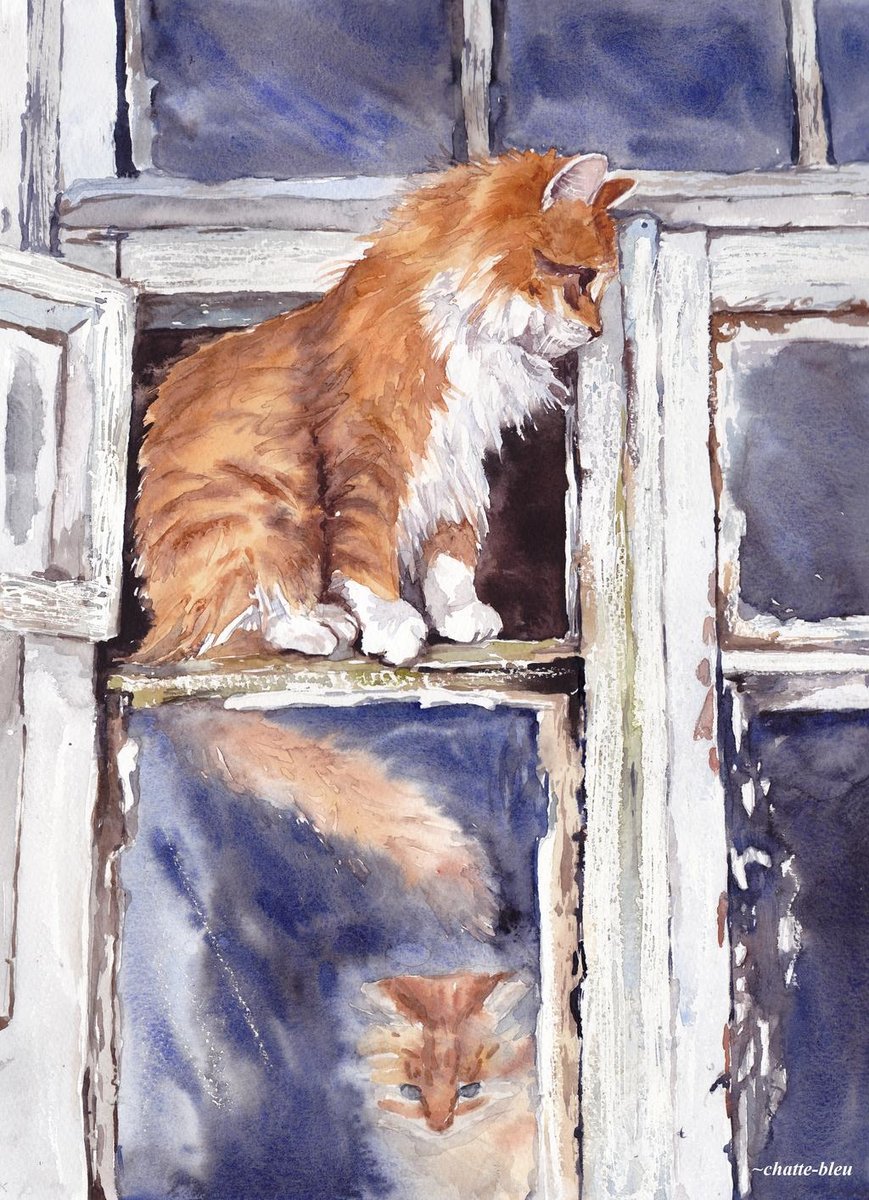 Котики в окне - кот, котик, рисунок - оригинал