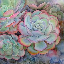 Схема вышивки «Суккуленты»