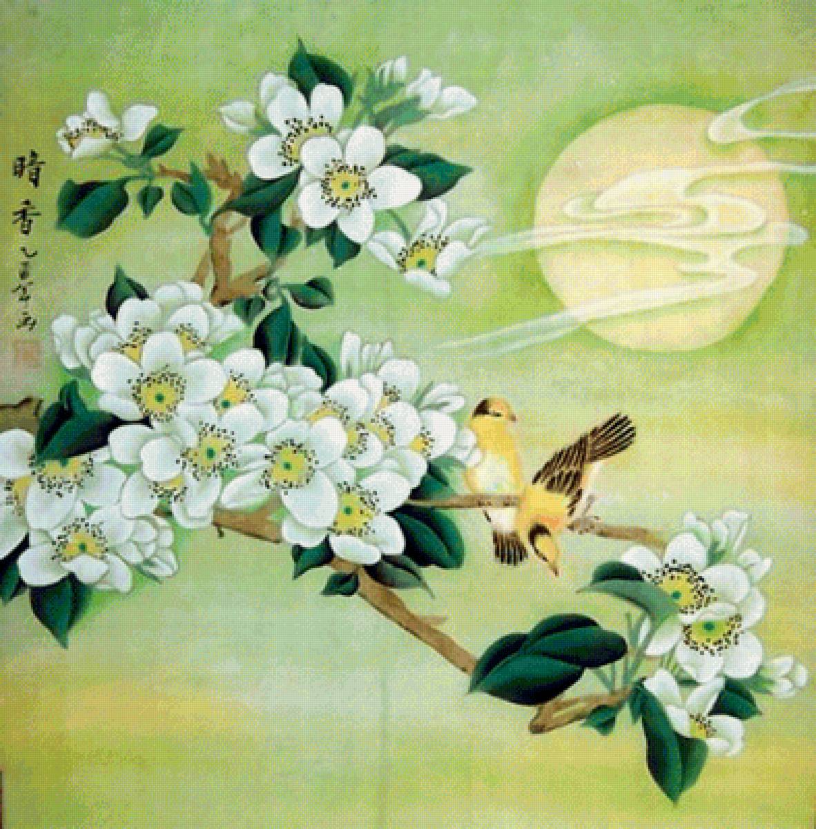 Птицы - птицы - предпросмотр