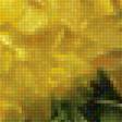Предпросмотр схемы вышивки «хризантемы» (№2216037)