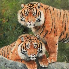 Схема вышивки «Молодая семья тигров»