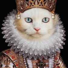 Схема вышивки «Королева Кошка»