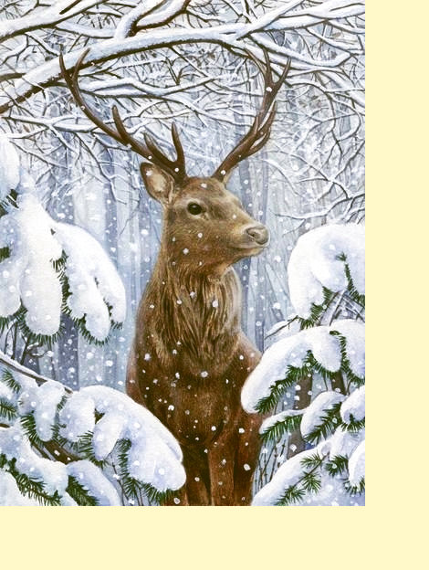 Серия "Олень". Зима - оригинал