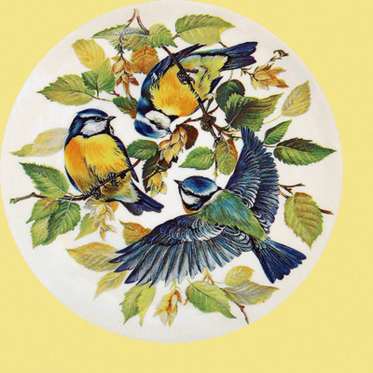 Серия "Птицы". Синички - фауна, птицы, синички - предпросмотр