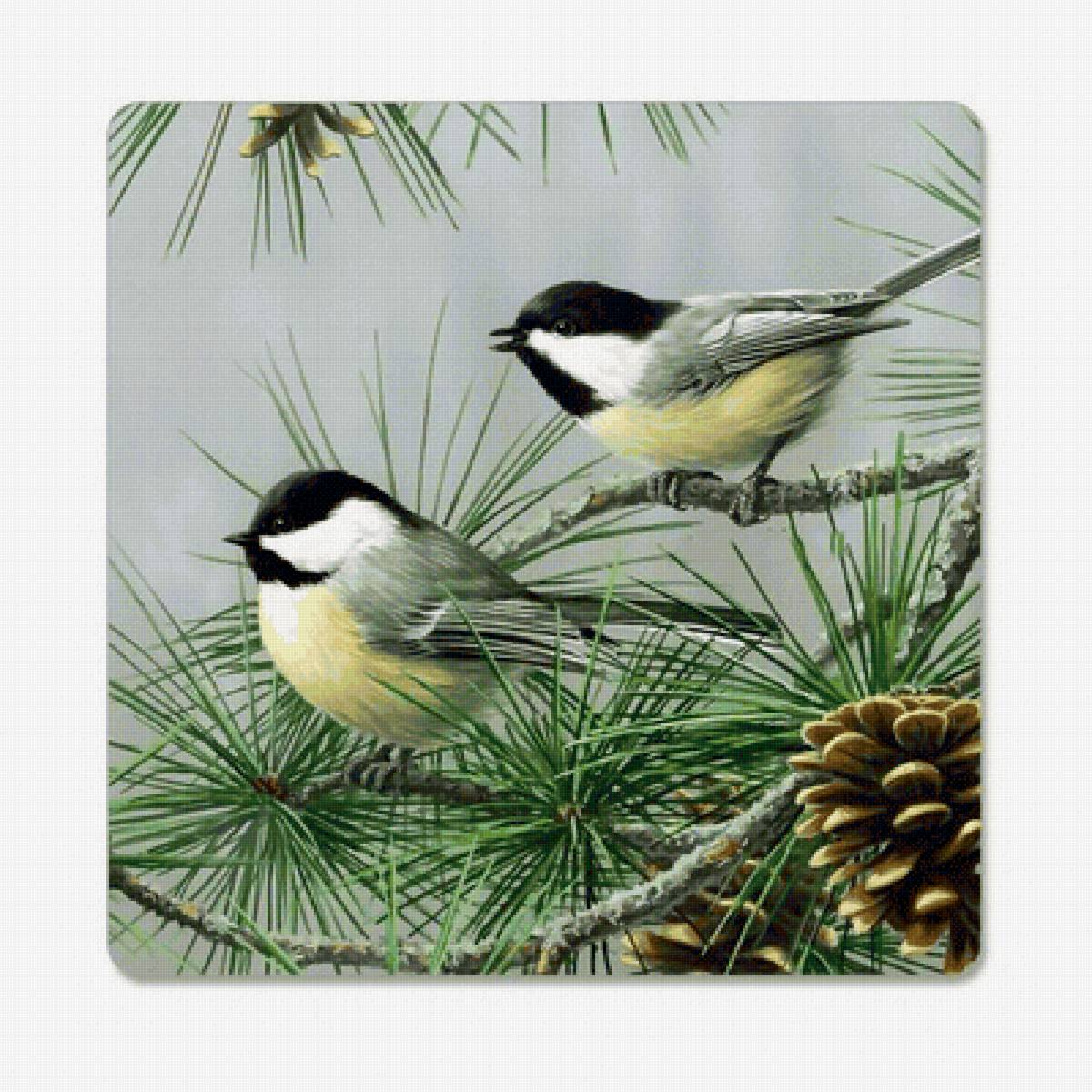 №2216965 - птицы, шишки - предпросмотр