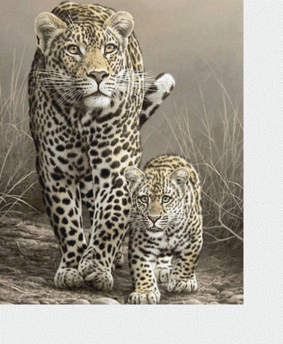 №2216968 - хищники, животные - предпросмотр