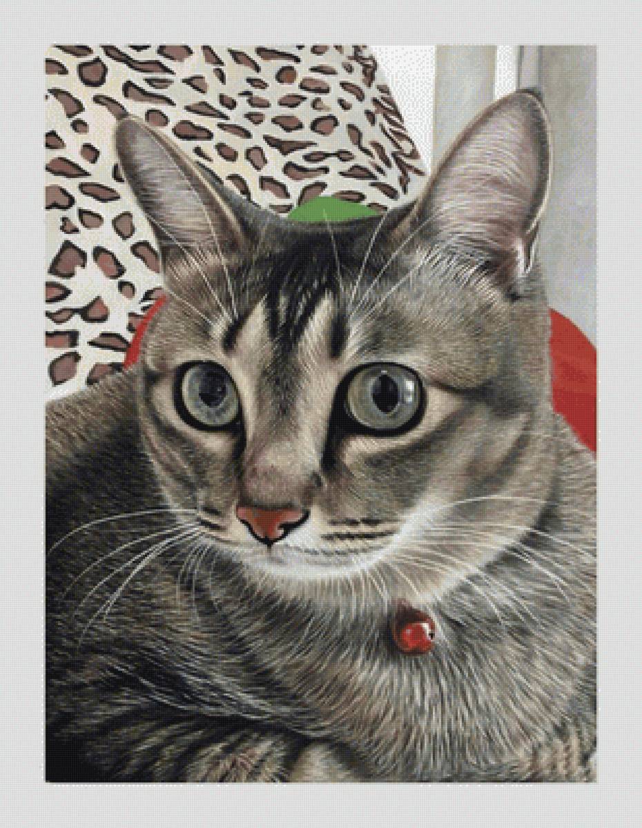 №2216970 - коты, животные - предпросмотр