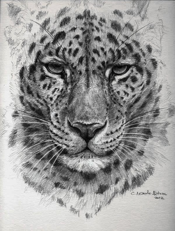 Лепа - оригинал