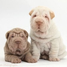 Схема вышивки «№2217738»