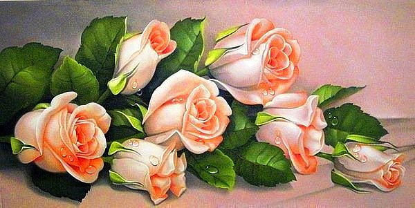 розы - цветы - оригинал