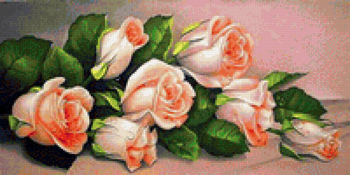 розы - цветы - предпросмотр