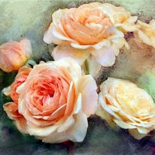 Оригинал схемы вышивки «розы» (№2217962)