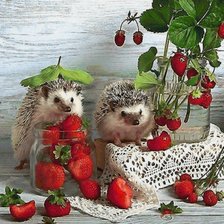 Схема вышивки «Пиршество»