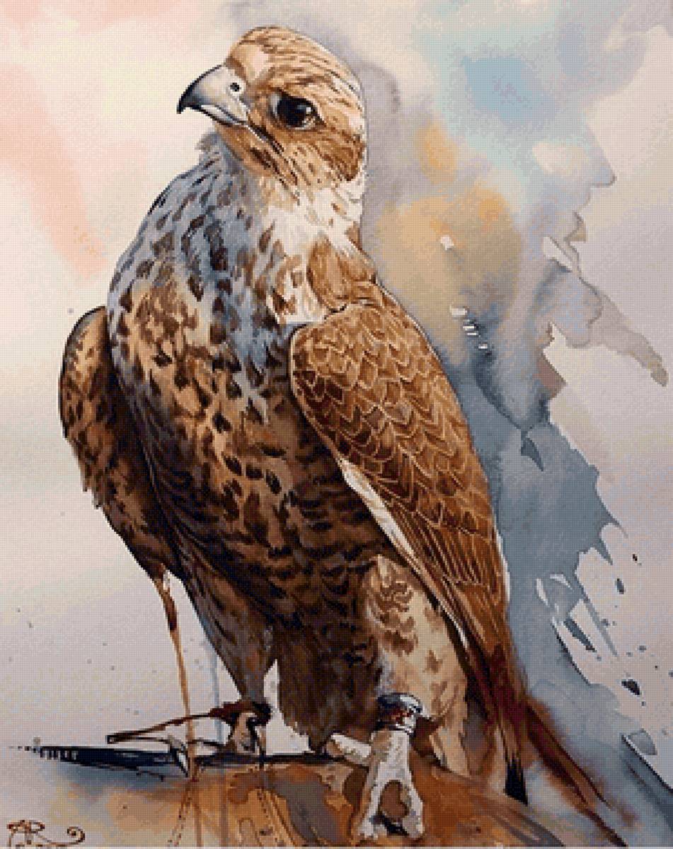 Gavião . - pássaro, aves. - предпросмотр