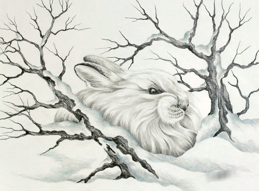 №2218501 - кролик - оригинал