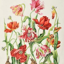 Схема вышивки «Цветы»