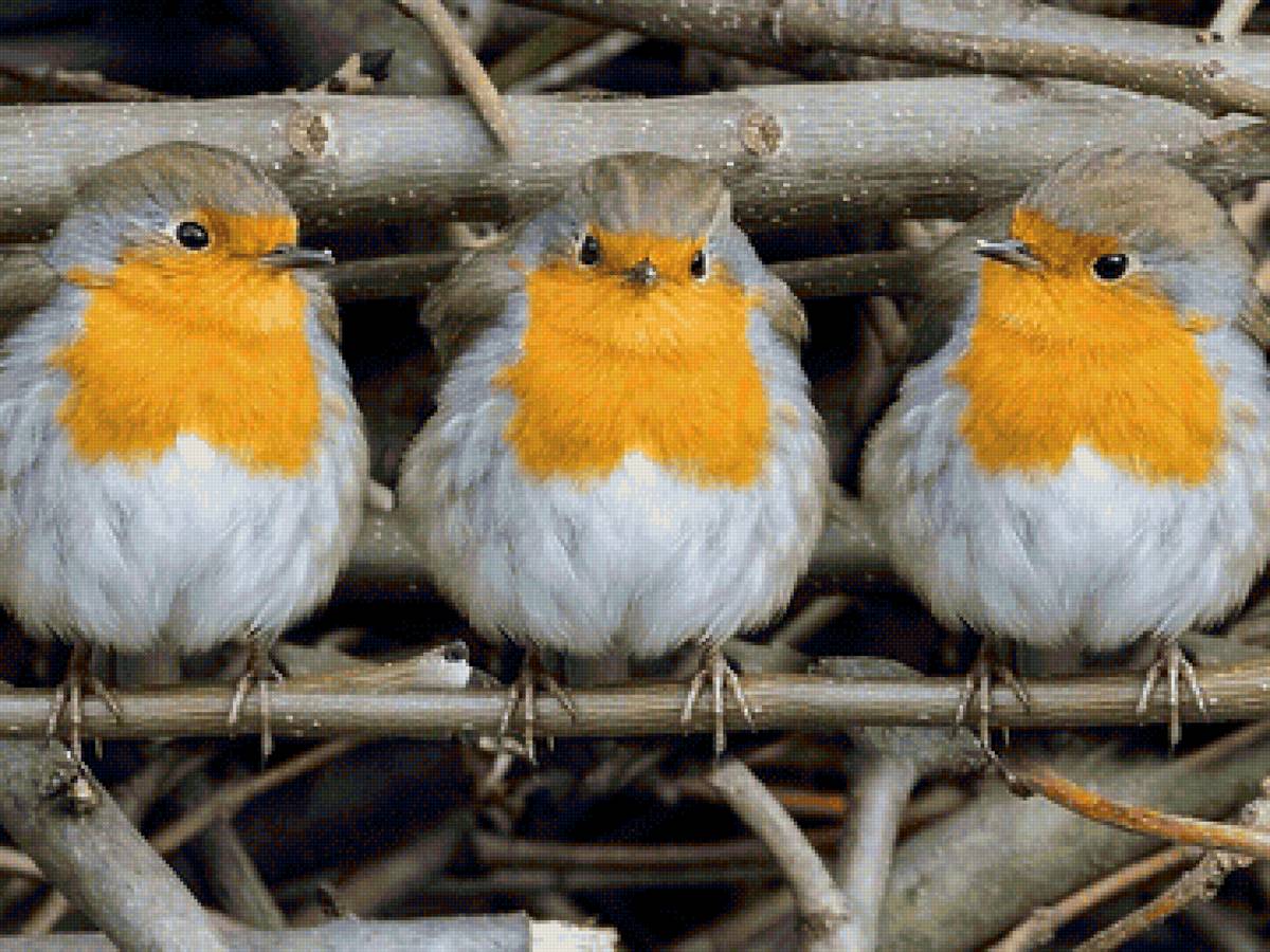 №2218551 - предпросмотр