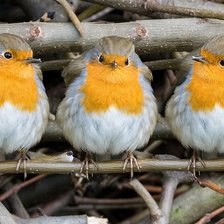 Схема вышивки «№2218551»