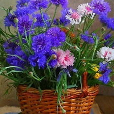 Схема вышивки «Корзина полевых цветов»