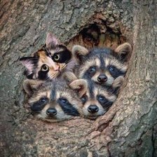 Схема вышивки «все свои»