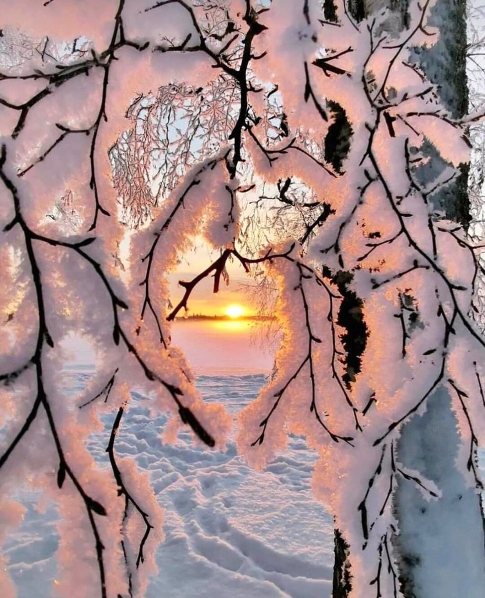 восход - оригинал