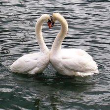 Схема вышивки «№2218714»