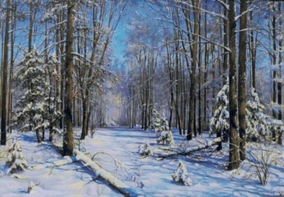 Зиний лес - снег, зима, лес - предпросмотр