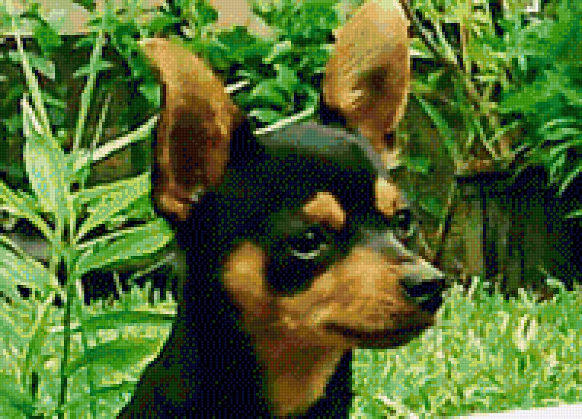 perrita - princesa - предпросмотр