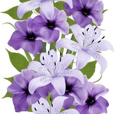 Схема вышивки «№2219023»