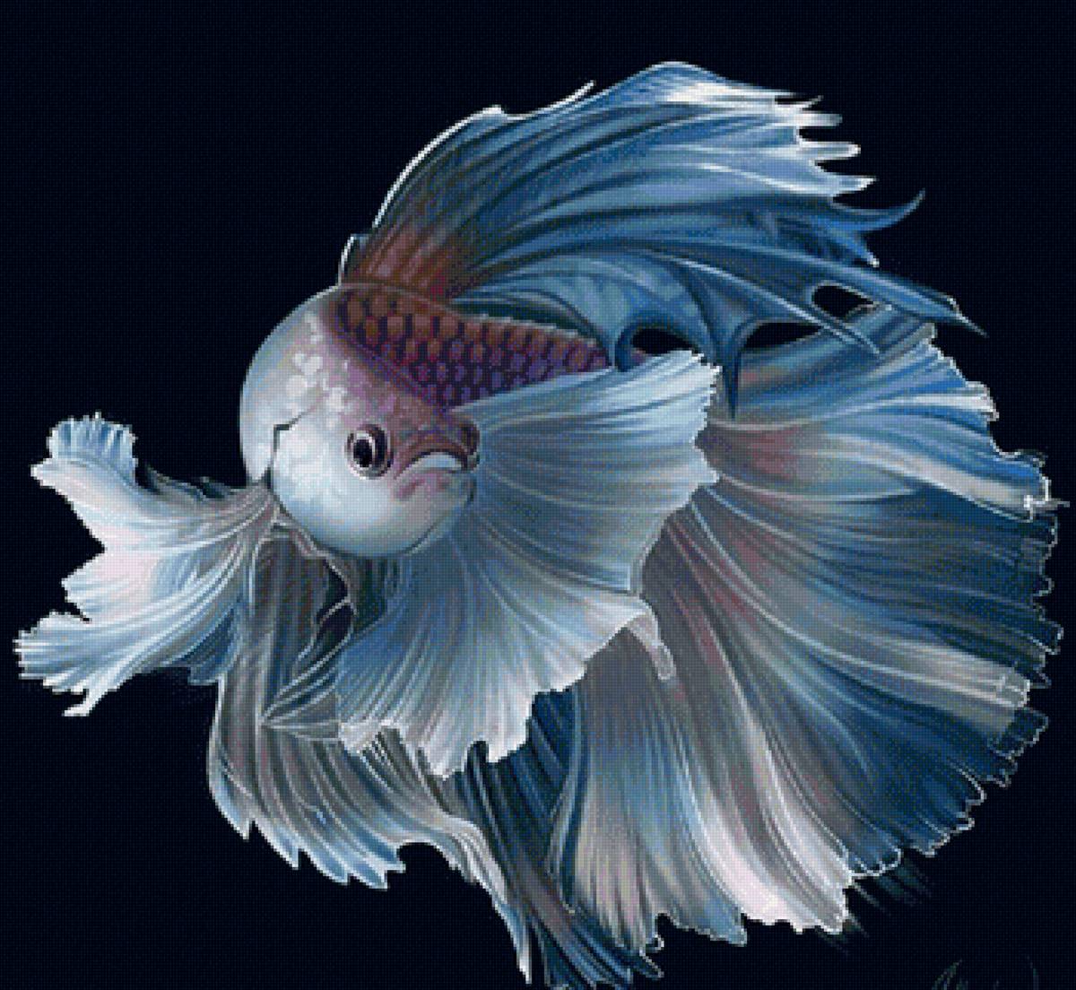 №2219038 - предпросмотр