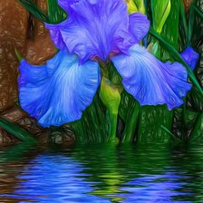 Схема вышивки «Lirio azul»