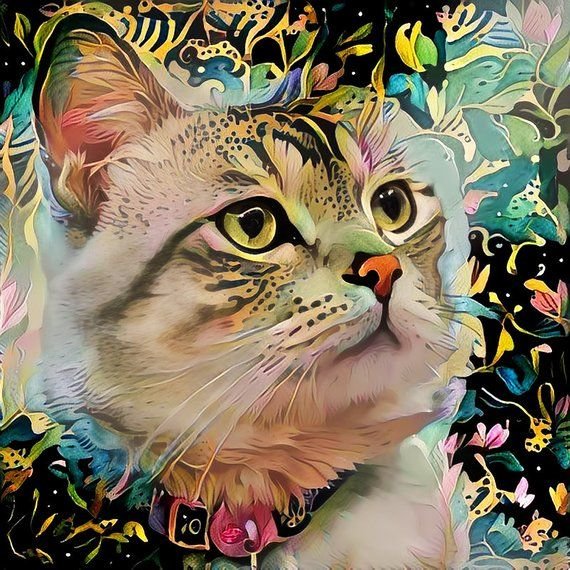 Gato. - pintura., gato - оригинал