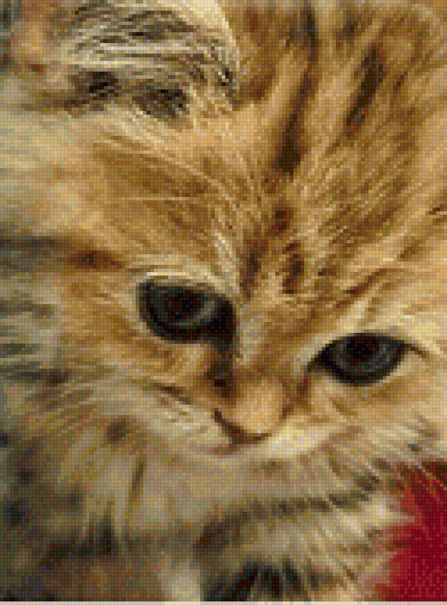 Котенок - маленький котенок, нежность, верность, мягкие лапки - предпросмотр