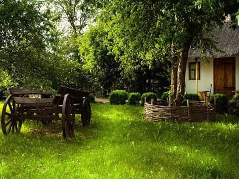 №2219713 - оригинал